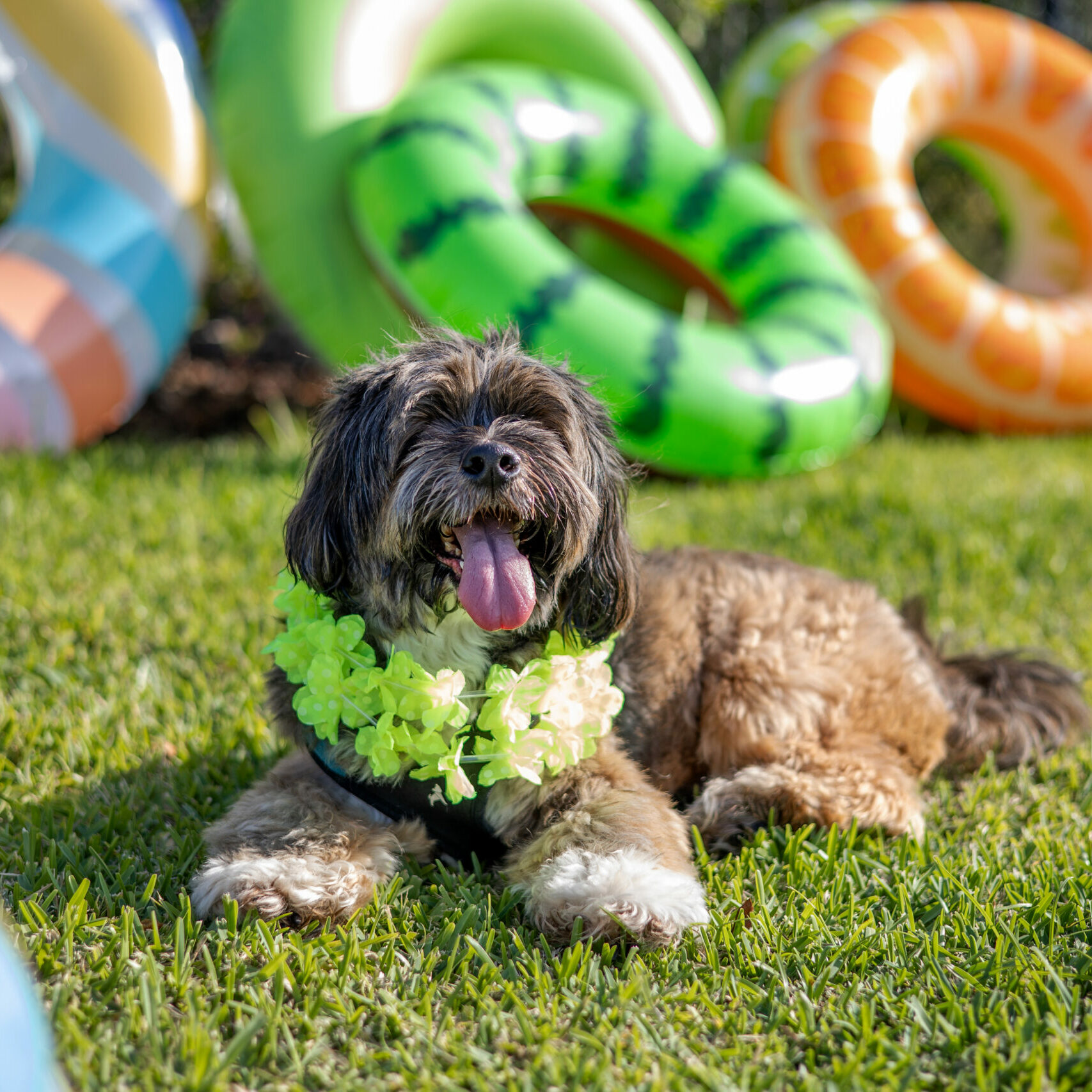 2022_05_06_ArtisanLakesPAWty_CWP62